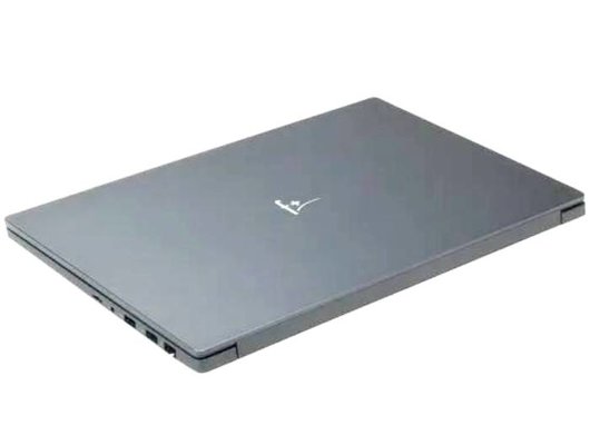 Ноутбук F+ Flaptop R 15/Ryzen 5 5600U/8Gb/512Gb/15.6FHD IPS/Win11 серебристый